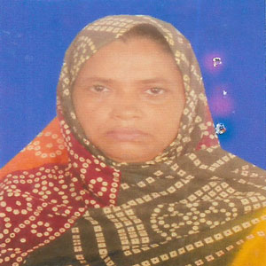 মিনি বেগম